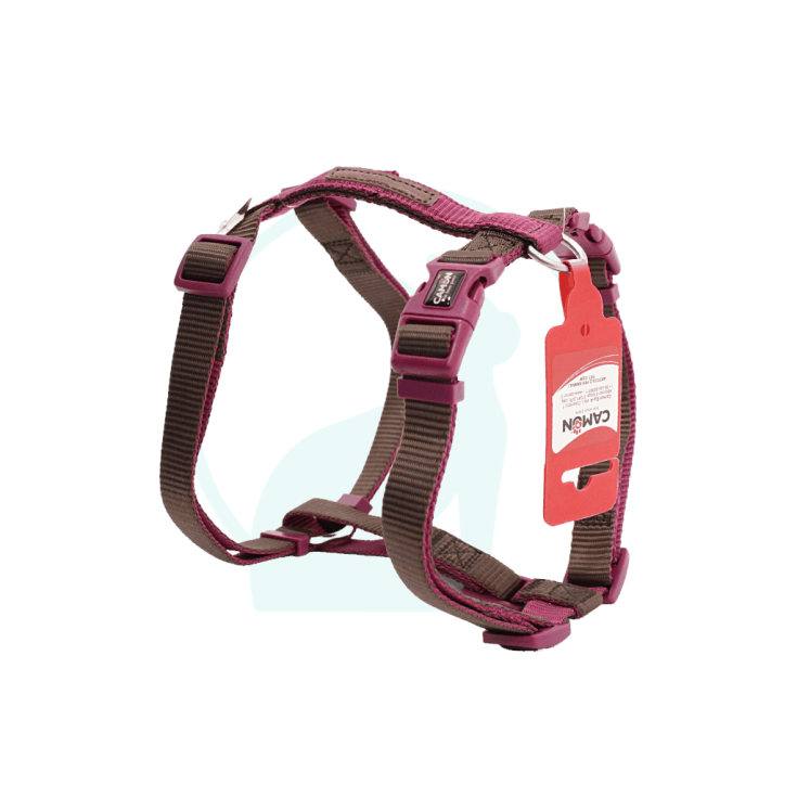 PETTORINA REG H DC0004/B