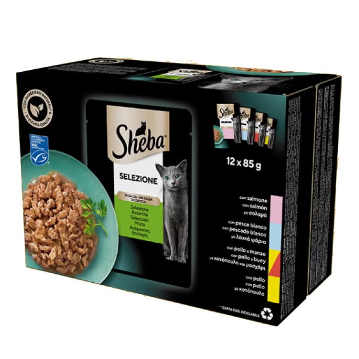 SHE SEL SALSA ASS 85G 12PZ