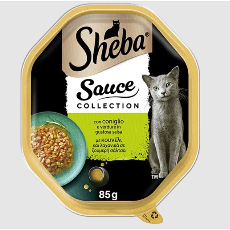 SAUCE COLLECT SA CONIG VE 85G