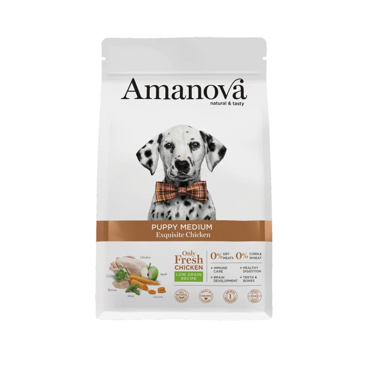 AM PUPPY MED EXQUIS CHK 2KG