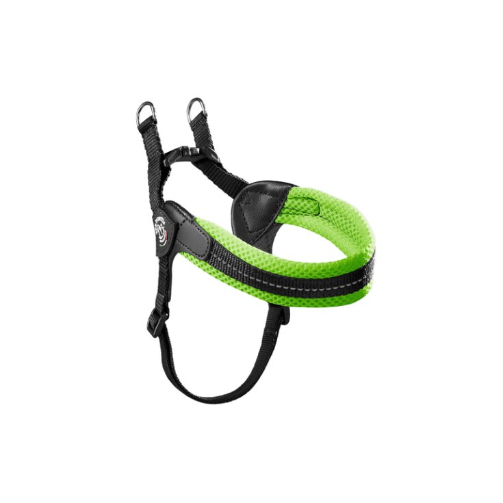 TP EF RE S/P REG VE FLUO 4