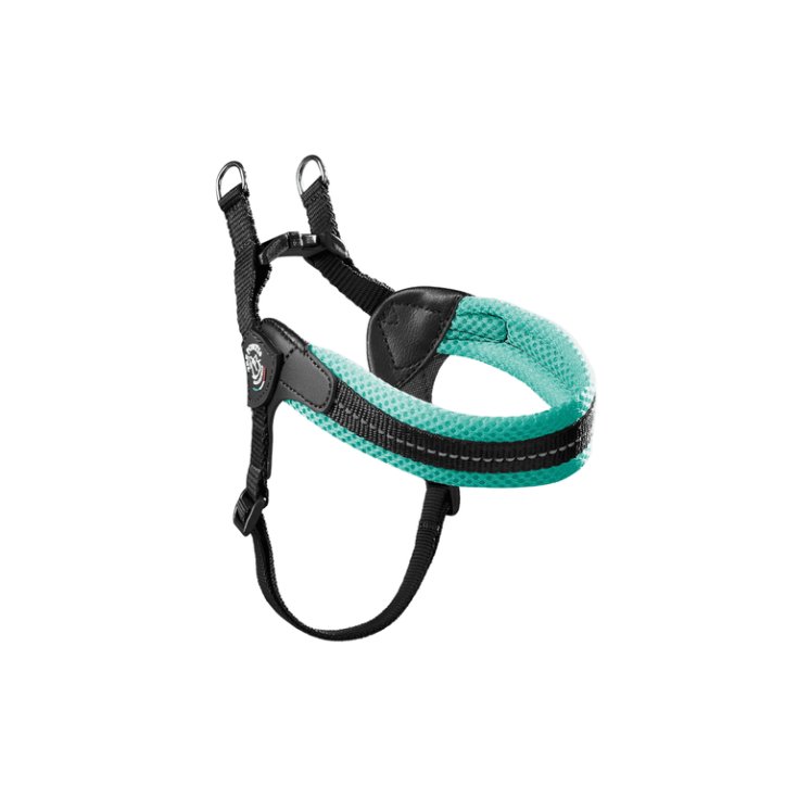 TP EF RE S/P REG MENTA 3,5