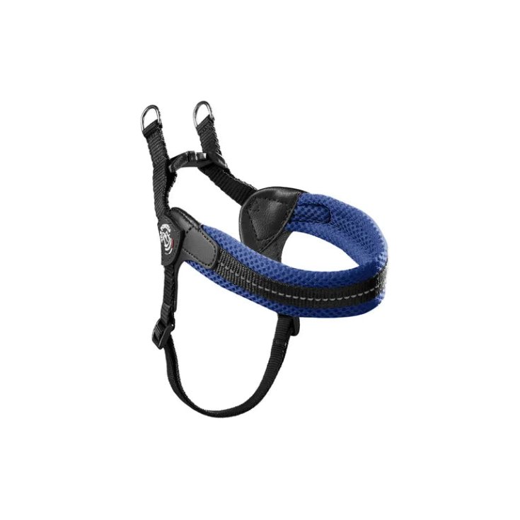 TP EF RE S/P REG BLU 3