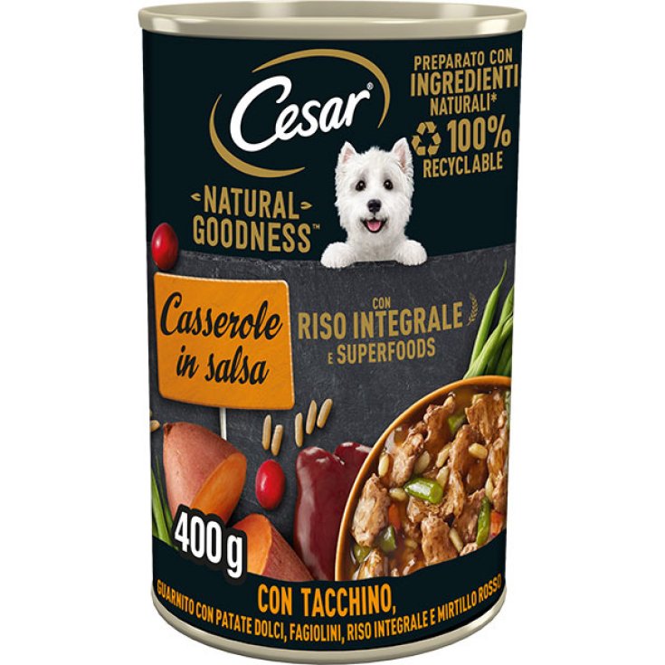 CESAR NG CAN 400G TACCH SA400G