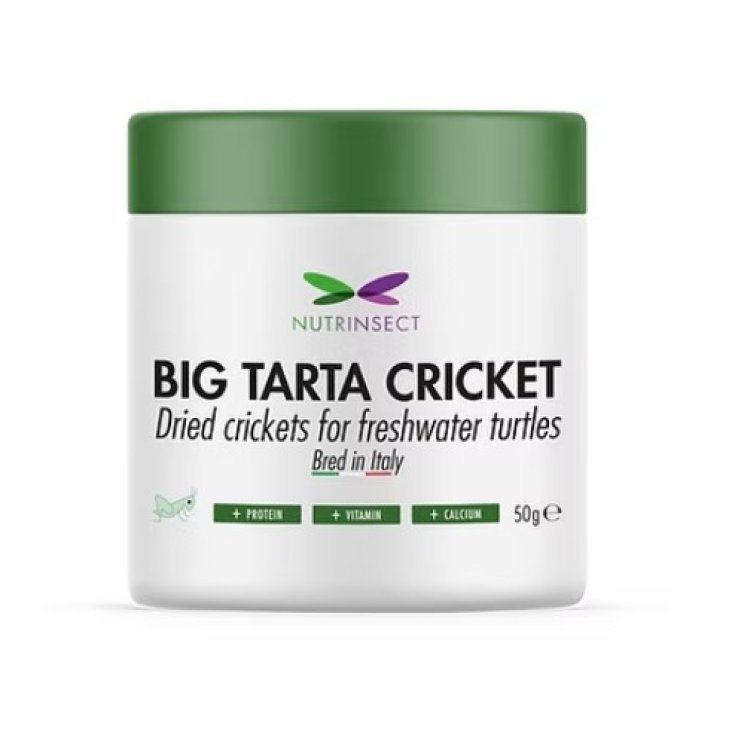 BABY TARTA CRICKET 50 GR