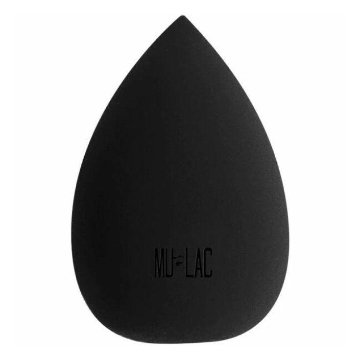 MULAC SPONGE FOUNDATION SHAPE THE MULAC SPONGE FOUNDATION SHAPE THE
