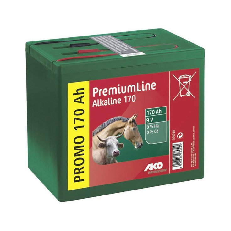 BATTERIA ALCALINA 170AH 9V