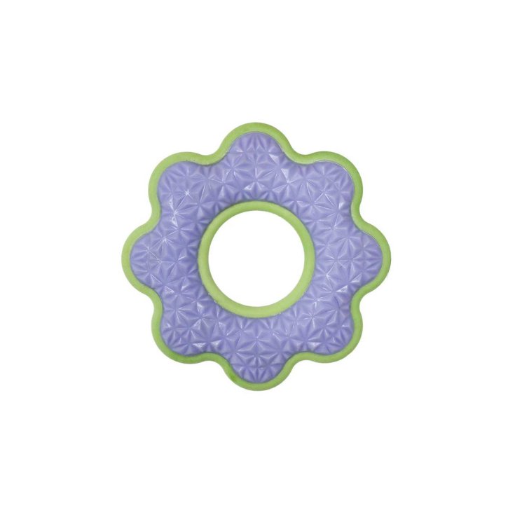 RECORD FRESHNESS GIOCO PER CANI FIORE LI RECORD FRESHNESS GIOCO PER CANI FIORE LI