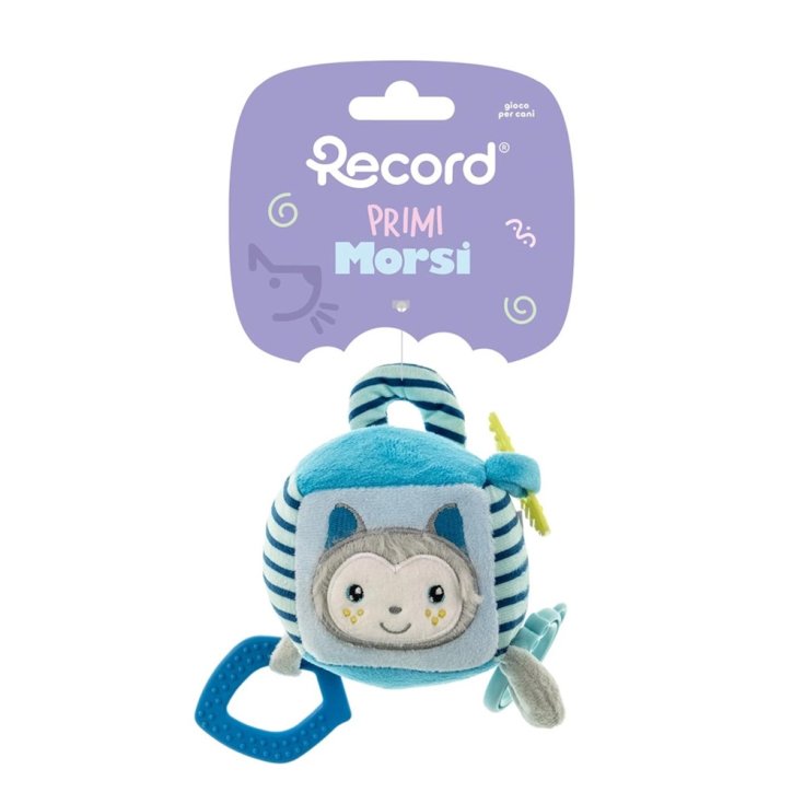 RECORD PRIMI MORSI CUBO PROCIONE AZZURRO