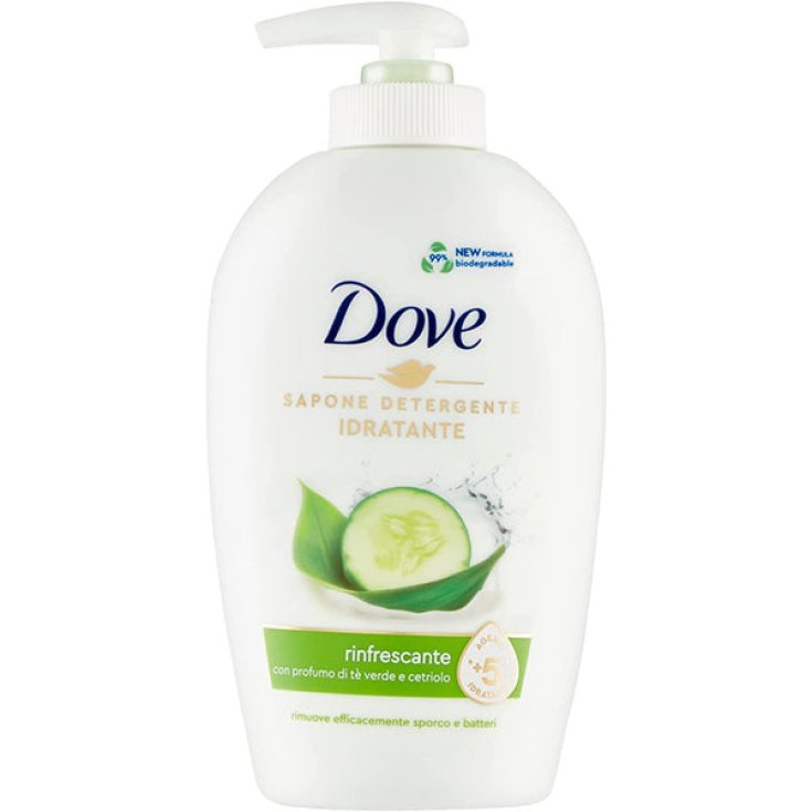 DOVE NEW SAP LIQ GO FRESH 250