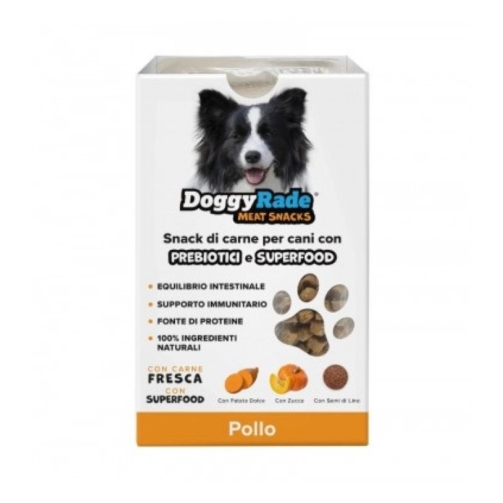 DOGGYRADE SNACK CHICKEN 100 GR