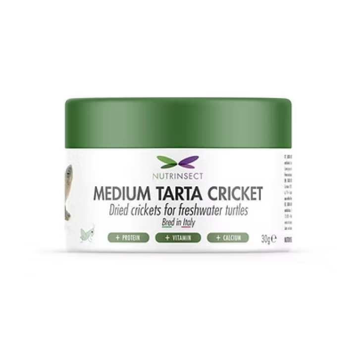 MEDIUM TARTA CRICKET 50 GR