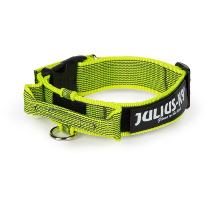 JULIUS K9 COLOR&GREY COLLARE GIALLO FLUO
