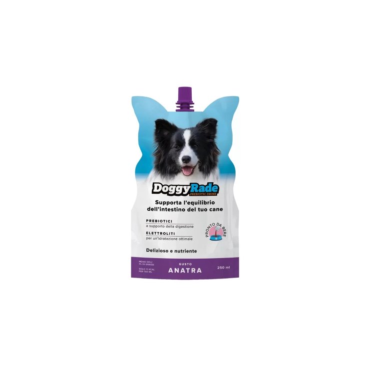 DOGGYRADE ANATRA 250 ML