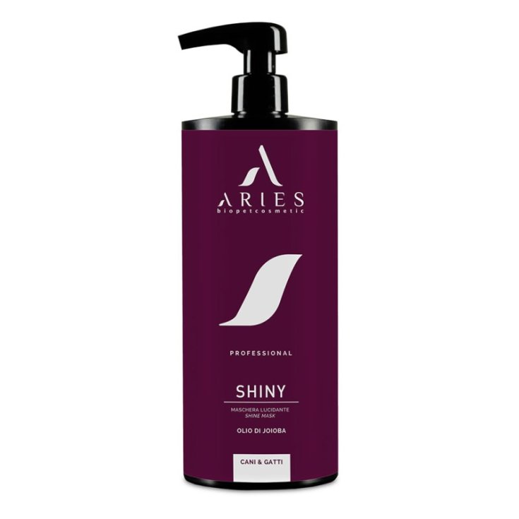 SHINY BIO MASCHERA LUCIDANTE 1 LITRO