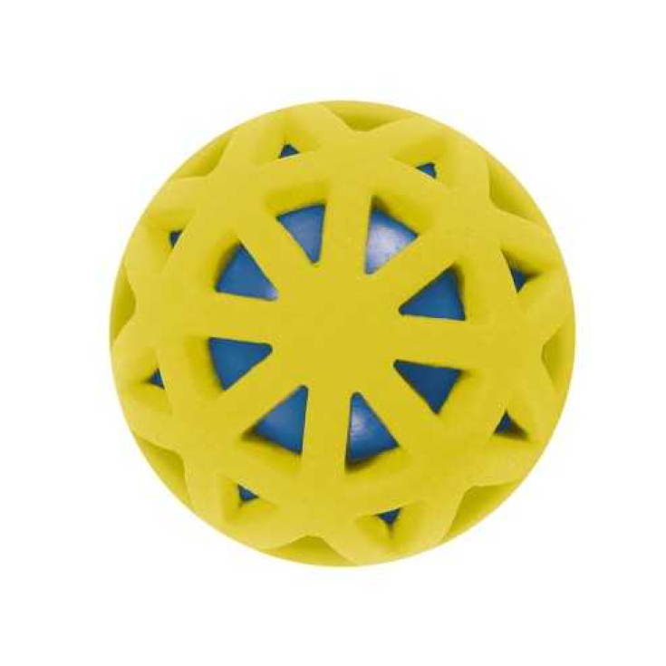 RECORD GIOCO PER CANI PALLA CON SQUEAKER
