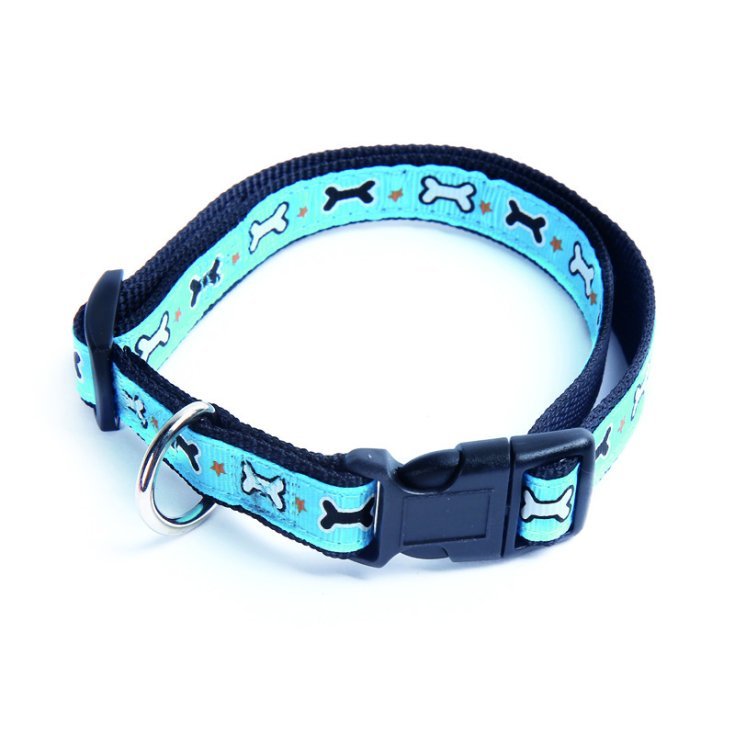 RECORD OSSICINI COLLARE NYLON AZZURRO 1X