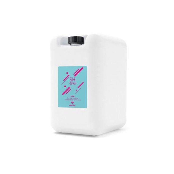 RECORD PURE SHAMPOO ALLO ZOLFO IN TANICA