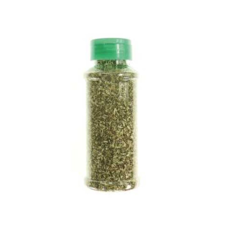 RECORD CATNIP IN POLVERE