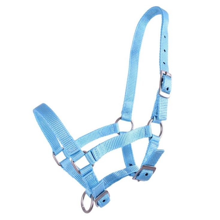 CAVEZZA NYLON REG PULEDRO