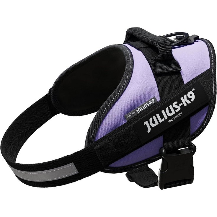 JULIUS-K9 STREETHARNESS PETTORINA VIOLA,