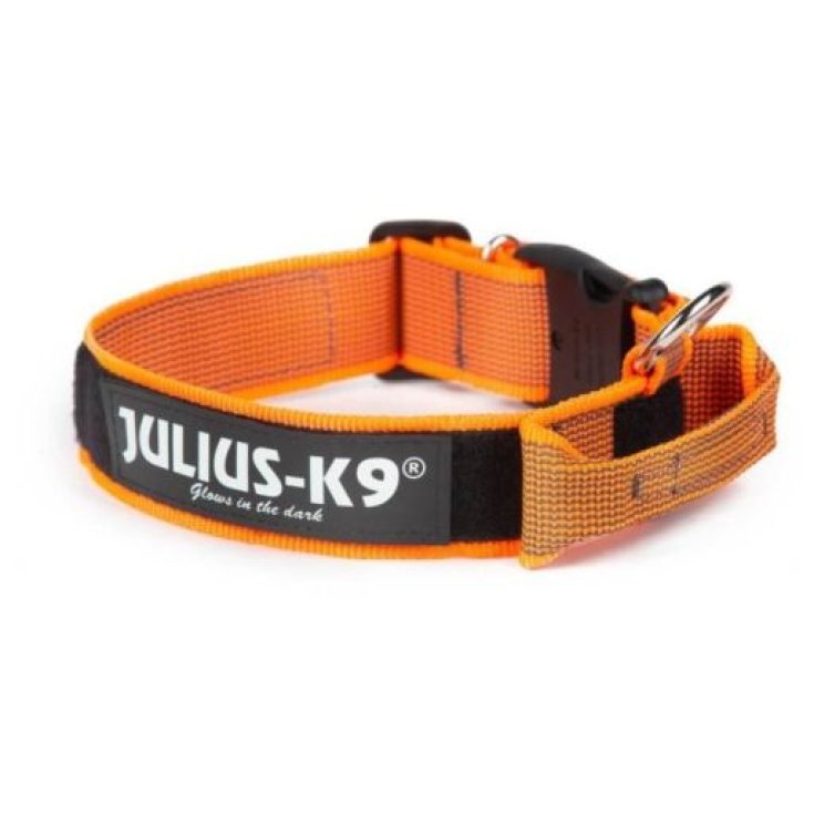 JULIUS K9 COLOR&GREY COLLARE ARANCIONE 2