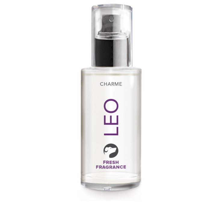 RECORD CHARME PROFUMO 0,5 L LEO RECORD CHARME PROFUMO 0,5 L LEO