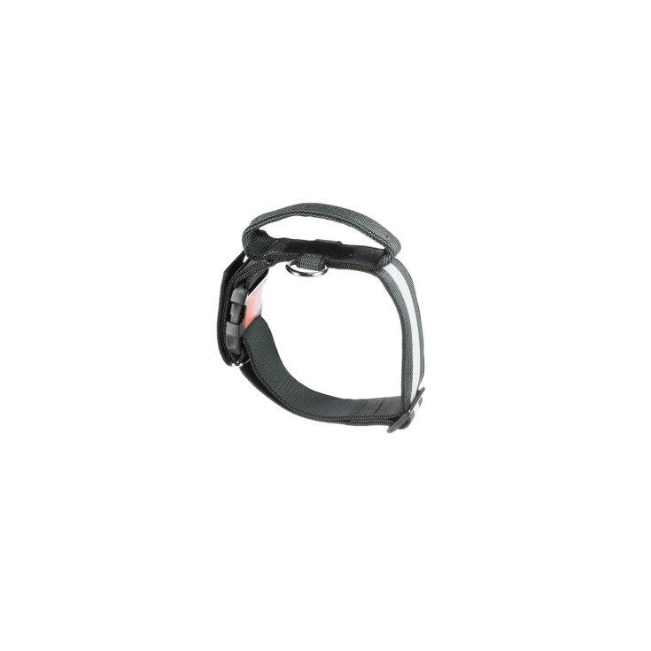 JULIUS-K9 COLOR & GRAY COLLARE CON MANIG