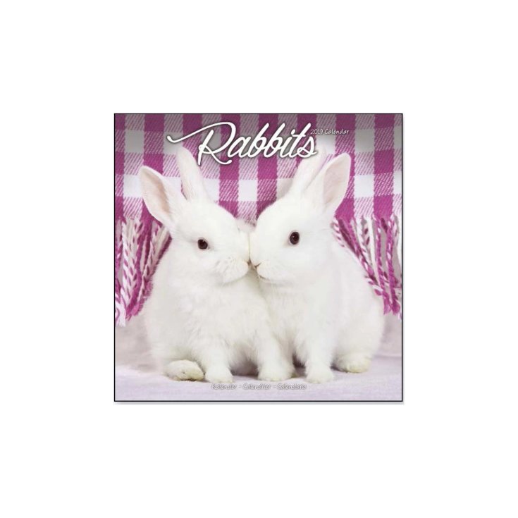 RECORD CONIGLI,CALENDARIO 30,5X30,5 CM