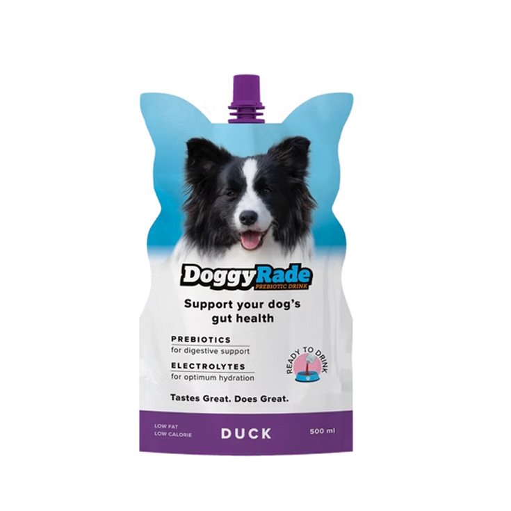 DOGGYRADE DUCK 500 ML
