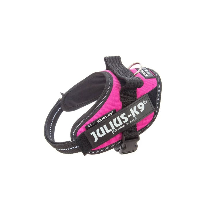 JULIUS-K9 COLOR & GRAY PETTORINA ROSA 0