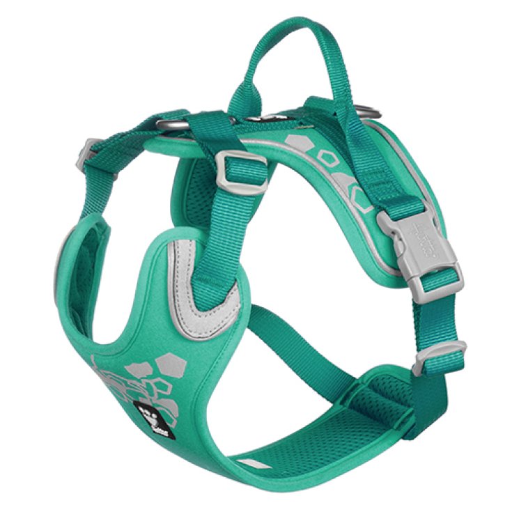 PETTORINA  WARRIOR PEACOCK 40-45 CM