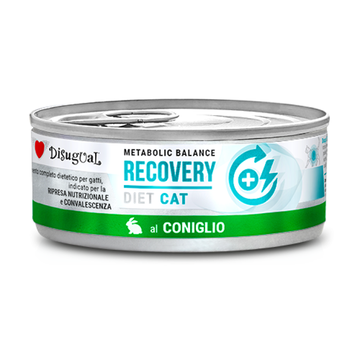DISUGUAL CAT RECOVERY CONIGLIO 85G