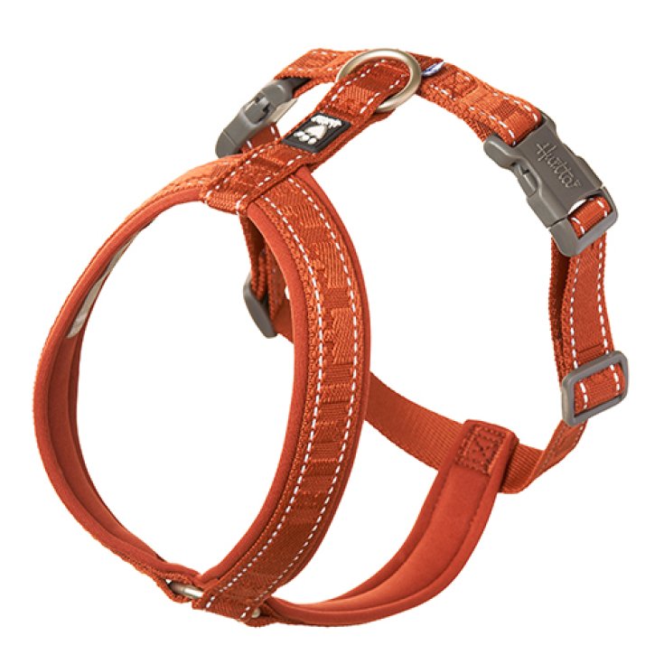 PETTORINA CASUAL Y CANNELLA 80-90 CM