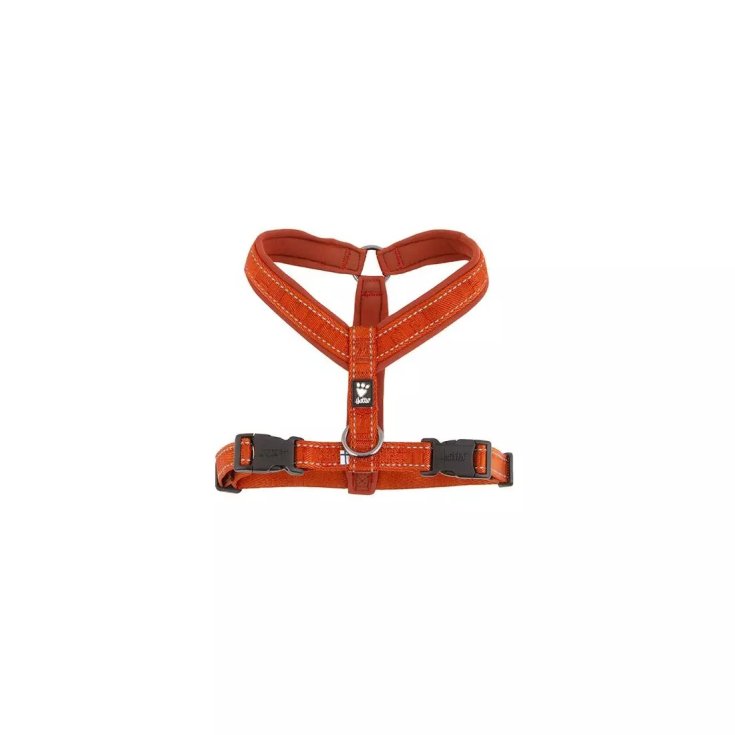 PETTORINA CASUAL Y CANNELLA 60-70 CM