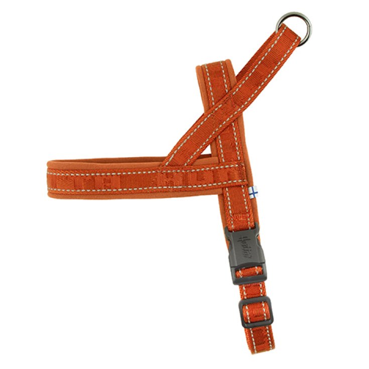 PETTORINA CASUAL Y CANNELLA 70-80 CM