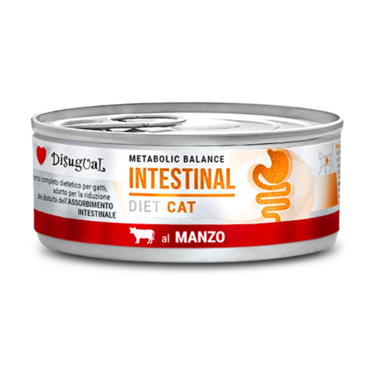 DISUGUAL CAT INTESTINAL MANZO 85G