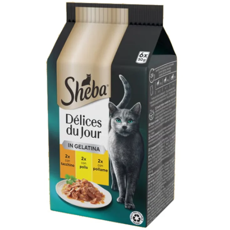 SHE DDJ TACCH POL GELAT 50G 6P