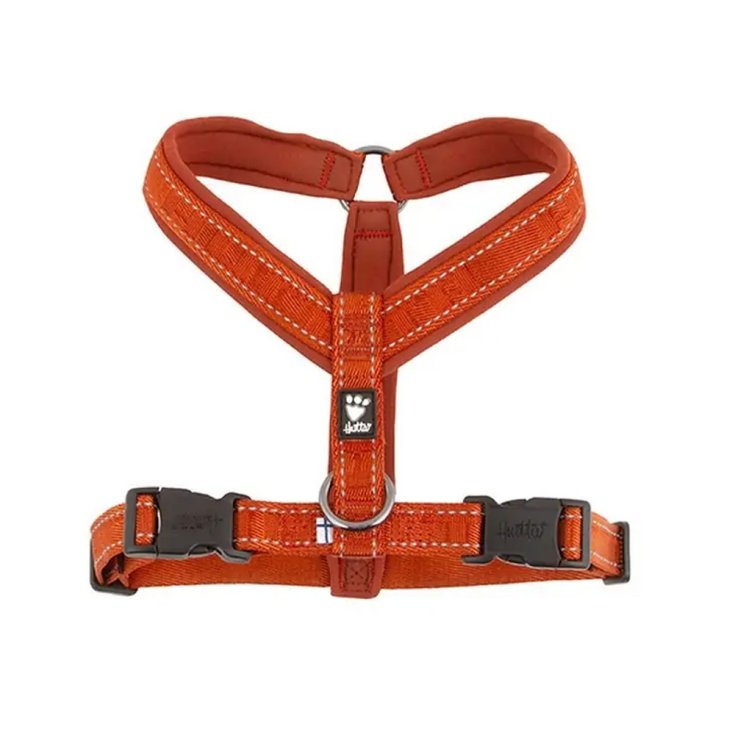 PETTORINA CASUAL Y CANNELLA 50-60 CM
