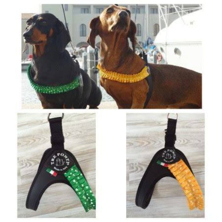 PETTORINA FASHION PLISSE PLAS MIS 1 GIAL