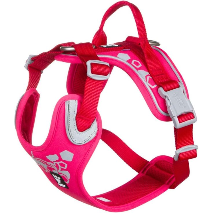 PETTORINA  WARRIOR RUBY 40-45 CM