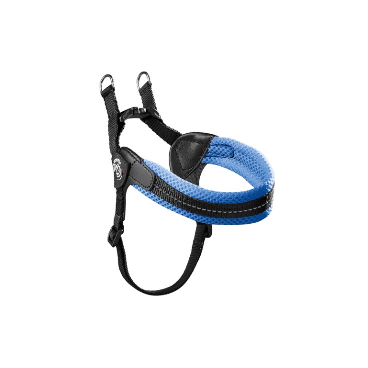 PETTORINA EASY FIT REG BLU CIELO