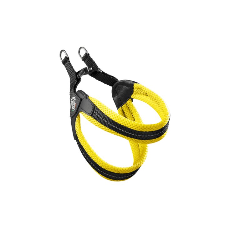 TP EF RE CLK GI FLUO 1