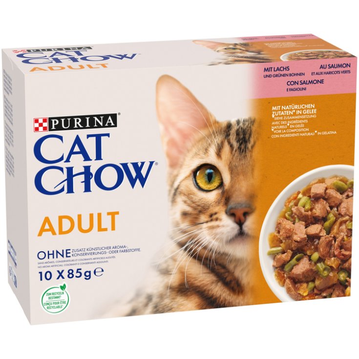 CAT CHOW ADULT SALMONE 10X85G