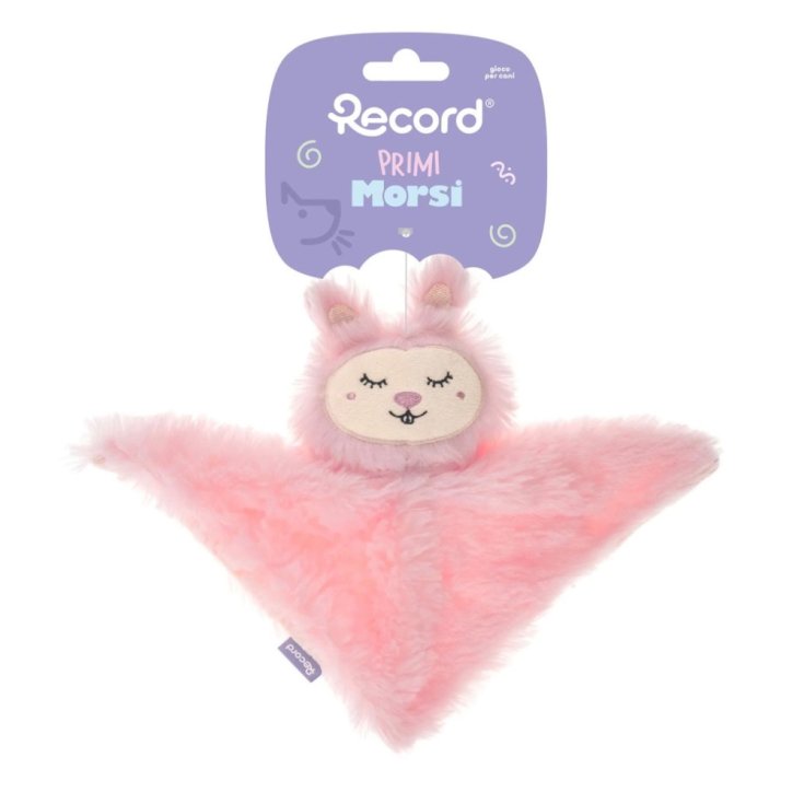 RECORD PRIMI MORSI DOUDOU CONIGLIO 23CM