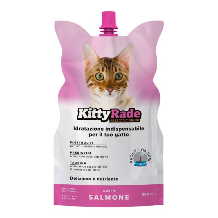 KITTYRADE SALMONE 250 ML