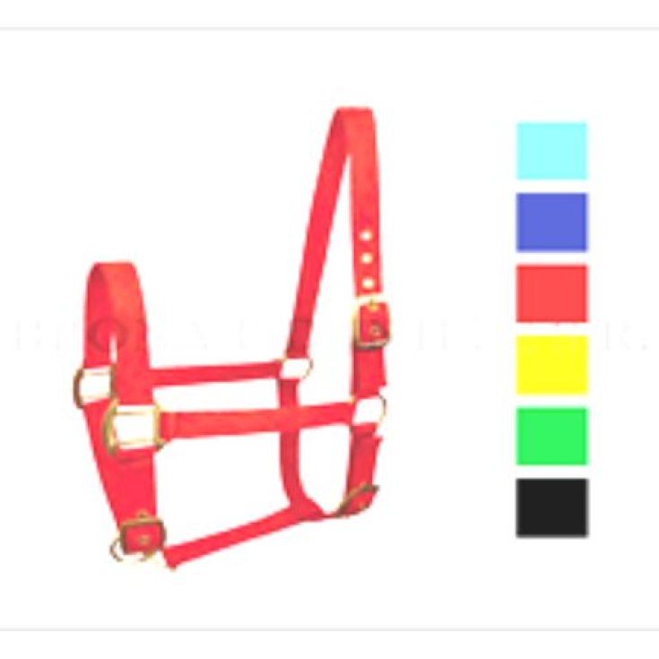 CAVEZZA NYLON REG PULEDRO