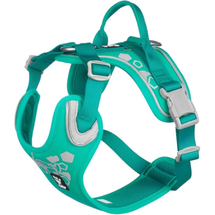 PETTORINA  WARRIOR PEACOCK 45-60 CM