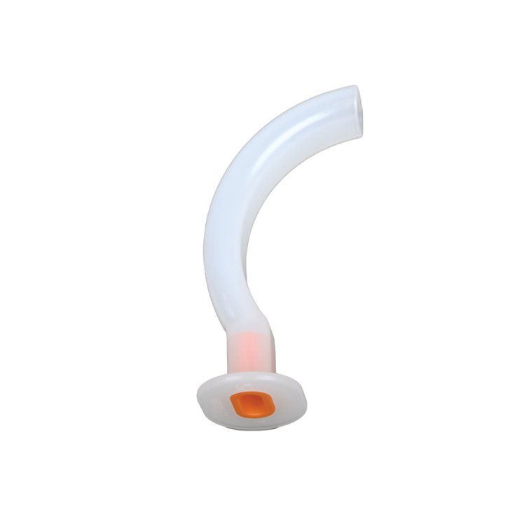 Cannula Guedel 110mm Adulti Arancione L GIMA 10 Pezzi