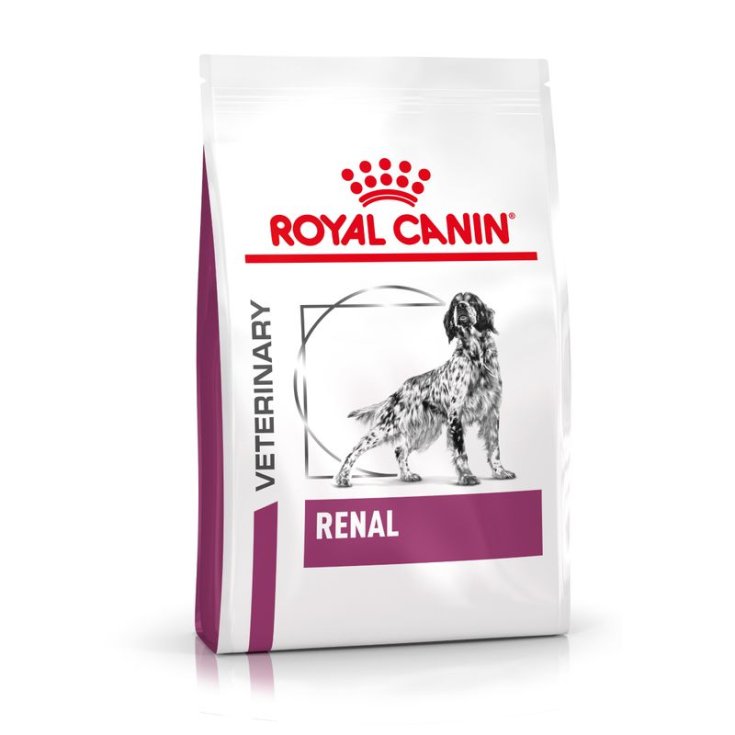 VHN CHIEN RÉNAL 14KG